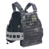 DPC-V2 / Plate Bag