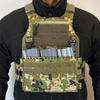 SBPC / Satan's Beetle Plate Bag