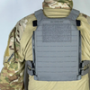 SBPC / Satan's Beetle Plate Bag