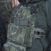 SBPC / Satan's Beetle Plate Bag