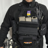 SBPC / Satan's Beetle Plate Bag