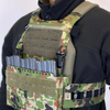 SBPC / Satan's Beetle Plate Bag