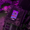 Palm Tree