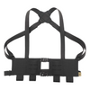 LVM-RIG/AR15