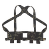 LVM-RIG/AR15