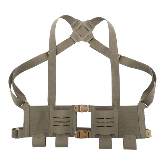 LVM-RIG / AR15