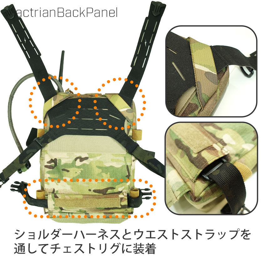 BactrianBackPanel – VOLK TACTICAL GEAR