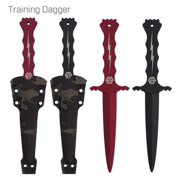 Training Dagger