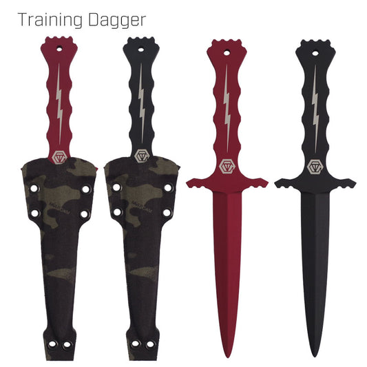 Training Dagger