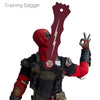 Training Dagger