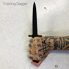 Training Dagger