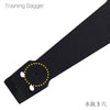 Training Dagger